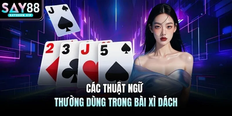 Các thuật ngữ thường dùng trong bài xì dách