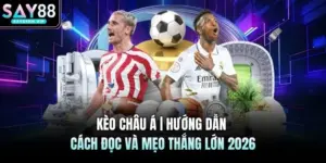 Kèo Châu Á | Hướng Dẫn Cách Đọc Và Mẹo Thắng Lớn 2026
