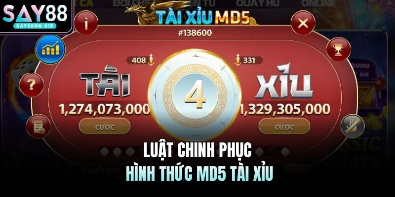 Luật chinh phục hình thức MD5 tài xỉu