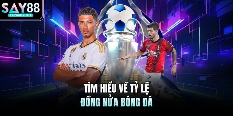 Tìm hiểu về tỷ lệ đồng nửa bóng đá