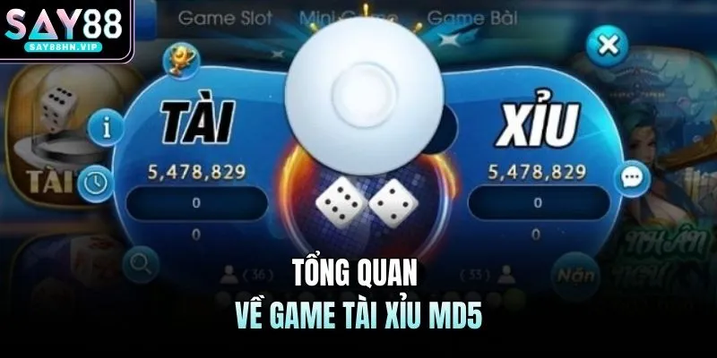 Tổng quan về game tài xỉu MD5