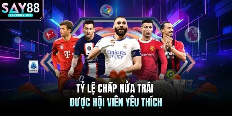 Tỷ lệ chấp nửa trái được hội viên yêu thích